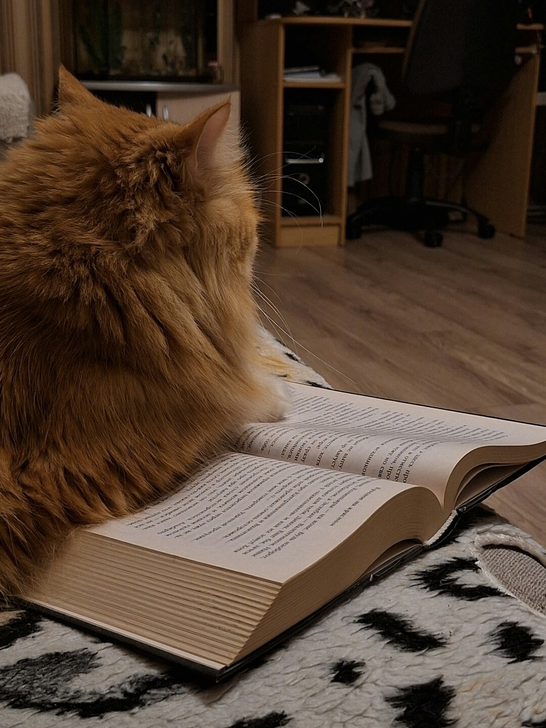 imaginative book pages